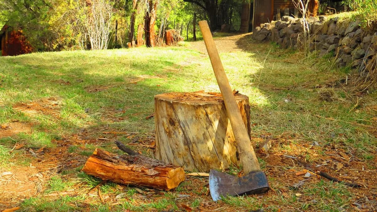 Log with an axe and pieces of cut firewood in a garden in Chile