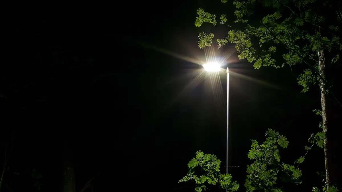 Farol LED de alumbrado público encendido de noche entre árboles