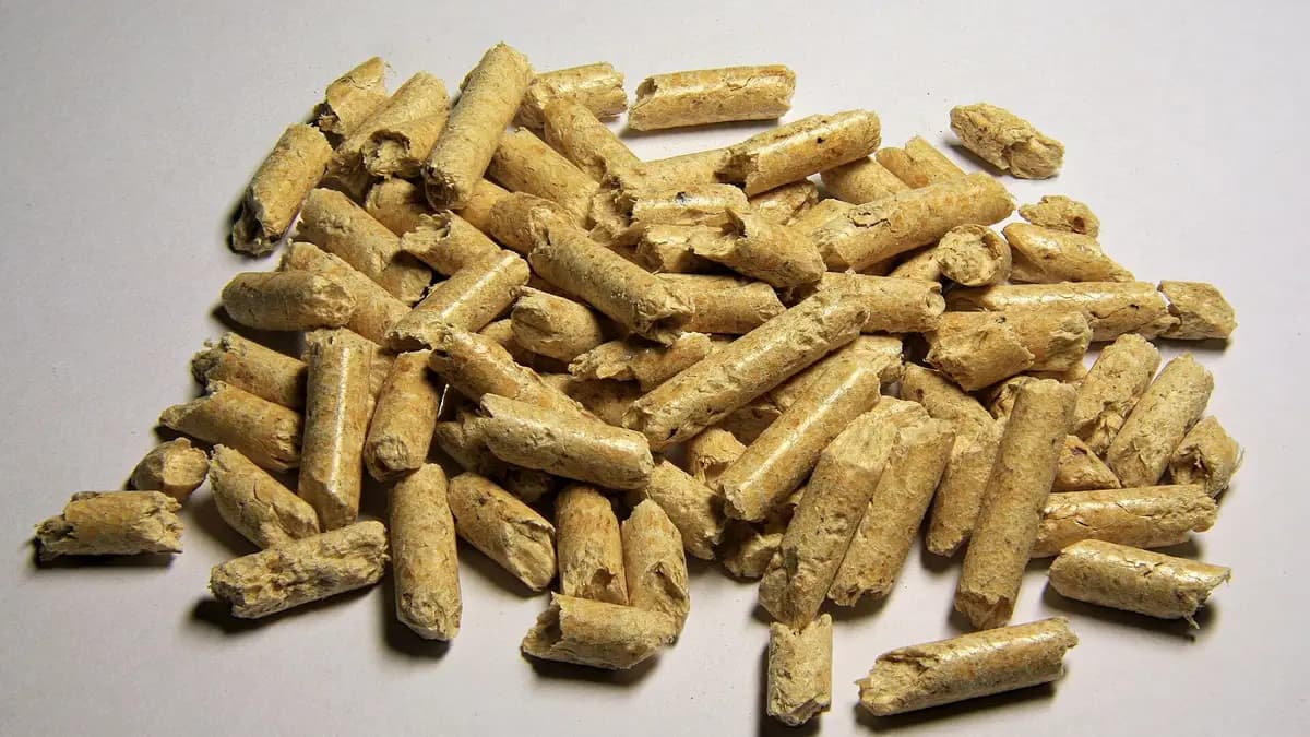 Pile of cylindrical wood pellets on a white background