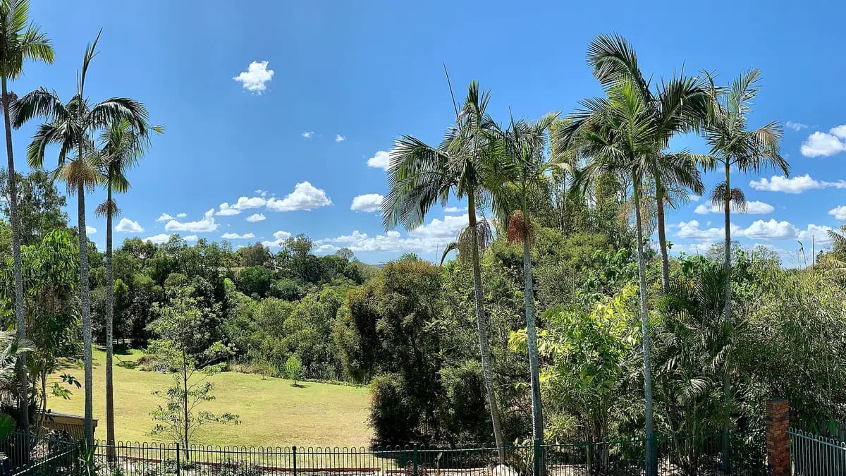 Quintal de uma casa com piscina e palmeiras