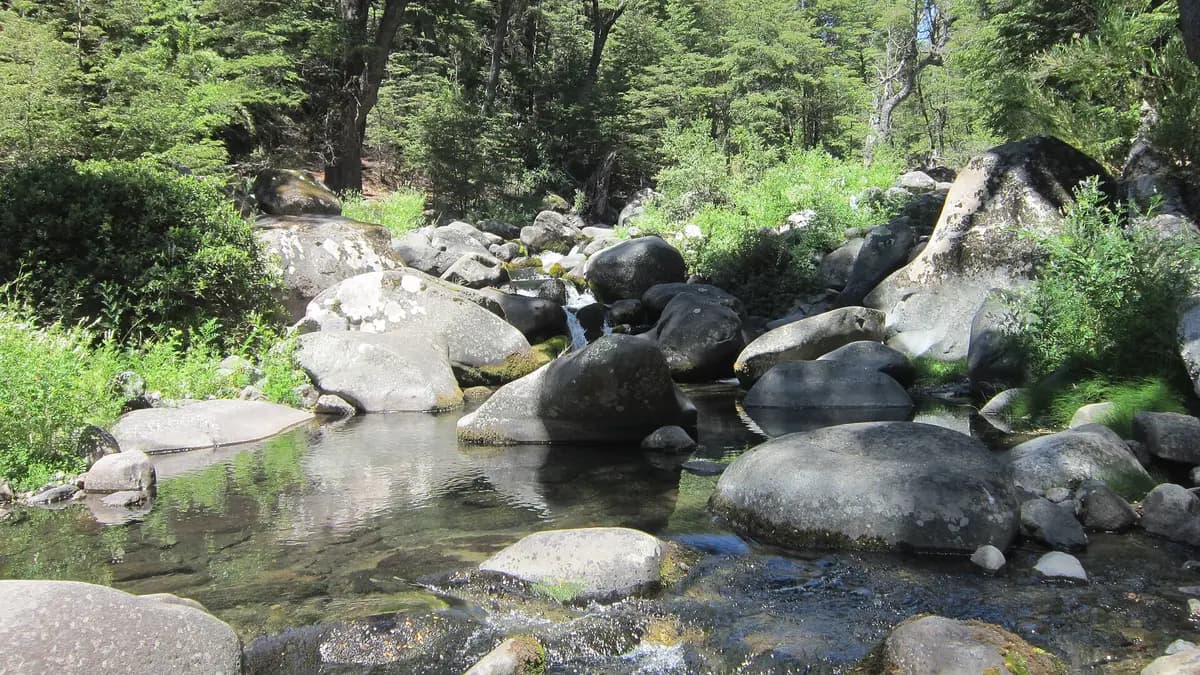 Río de aguas claras entre rocas y bosque en la comuna de Río Claro, Región del Maule